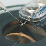 oocytes vitrification