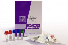 Cell Fusion 2mm cuvettes Cell FUsion 2mm cuvettes