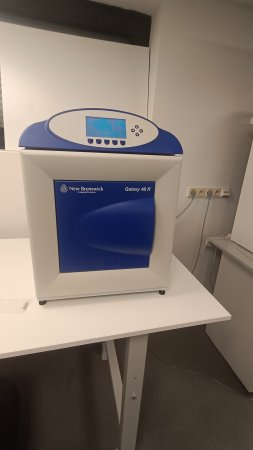 incubator Galaxy 48R incubator Galaxy 48R